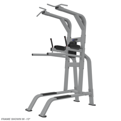 Nautilus Pull Up/ Dip/ Leg Raise