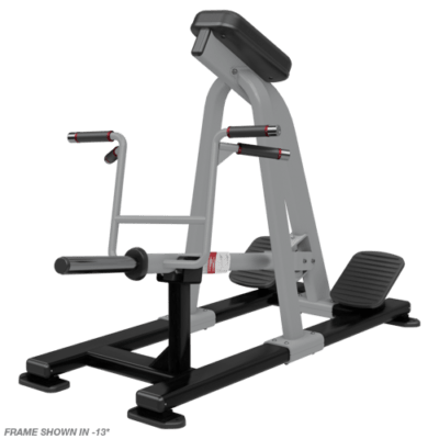 Nautilus Plate Loaded Incline Lever Row