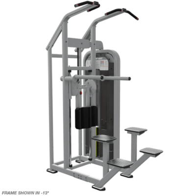 Nautilus Impact Chin Dip Assist