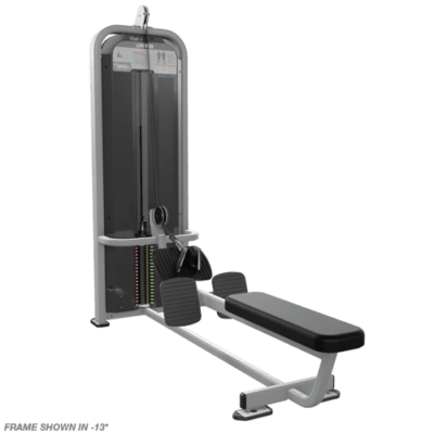 Nautilus Impact Low Row